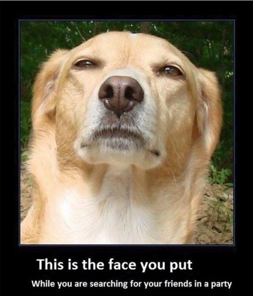 hornoxe.com_picdump250_025