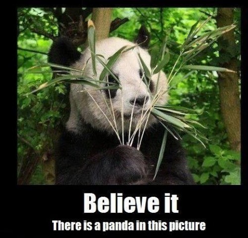 hornoxe.com_picdump250_036