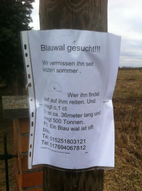 hornoxe.com_picdump250_053