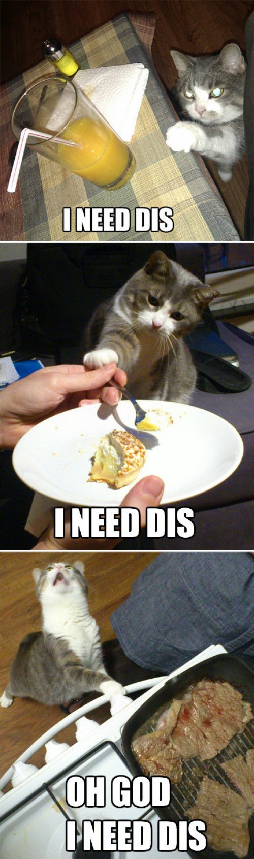 hornoxe.com_picdump250_057