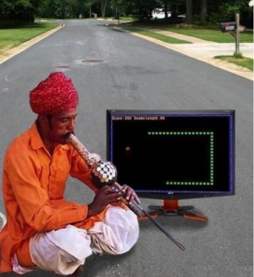 hornoxe.com_picdump250_069