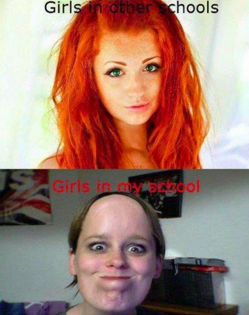 hornoxe.com_picdump250_075