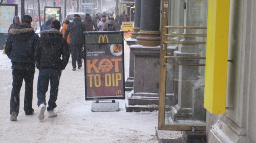 hornoxe.com_picdump250_112