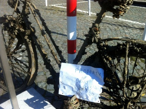 hornoxe.com_picdump251_015