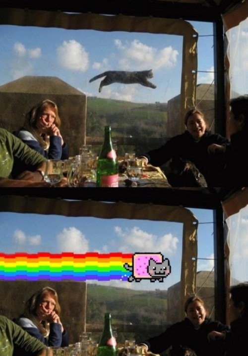 hornoxe.com_picdump251_018