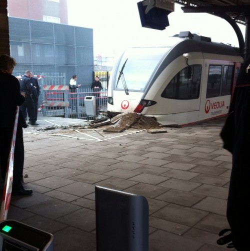 hornoxe.com_picdump251_030