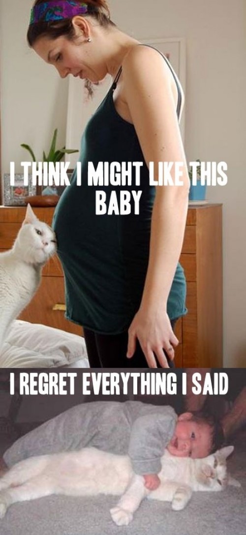 hornoxe.com_picdump251_059