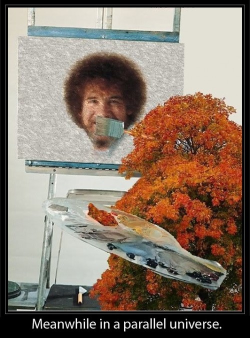 hornoxe.com_picdump251_071