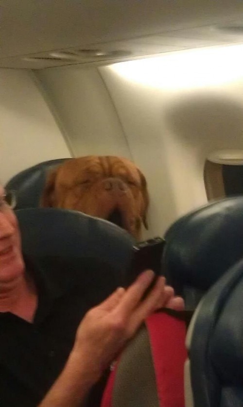 hornoxe.com_picdump251_079