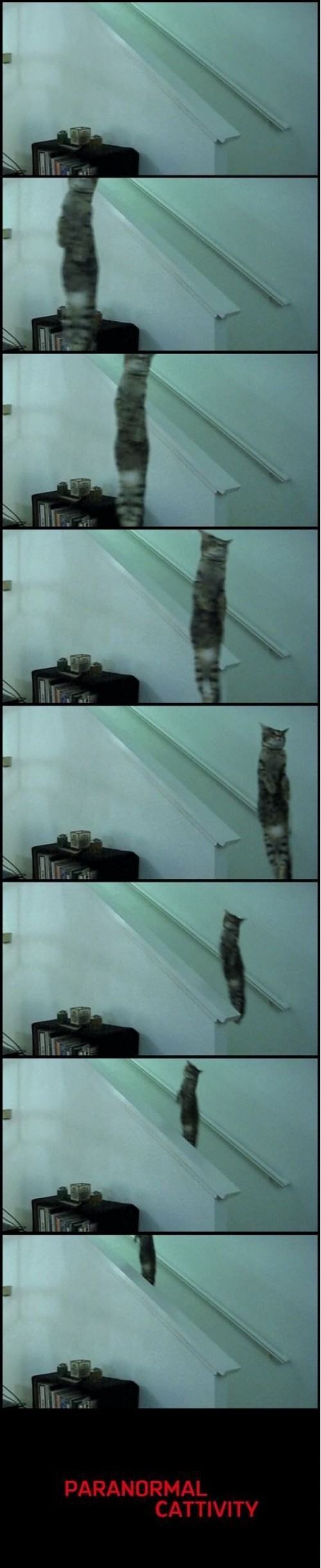 hornoxe.com_picdump251_082