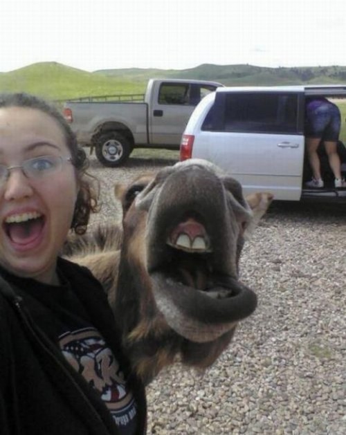 hornoxe.com_picdump251_096