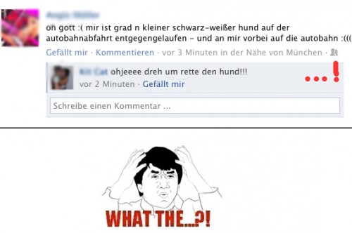 hornoxe.com_picdump251_129