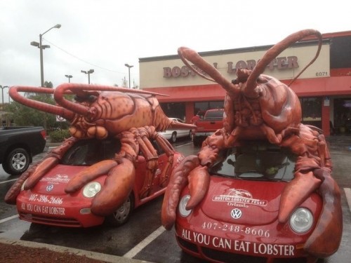 hornoxe.com_picdump251_130