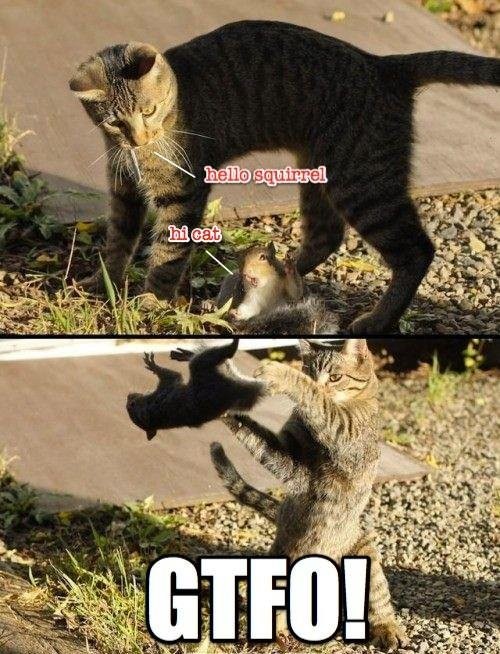 hornoxe.com_picdump252_015