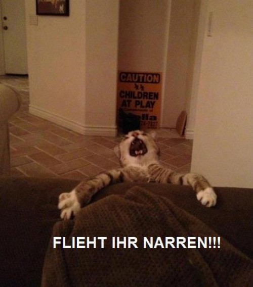 hornoxe.com_picdump252_042