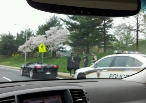 hornoxe.com_picdump252_043