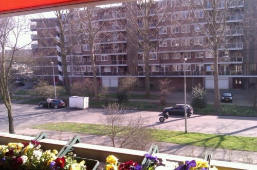 hornoxe.com_picdump252_049