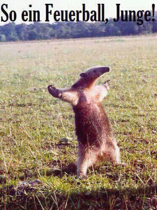 hornoxe.com_picdump252_074