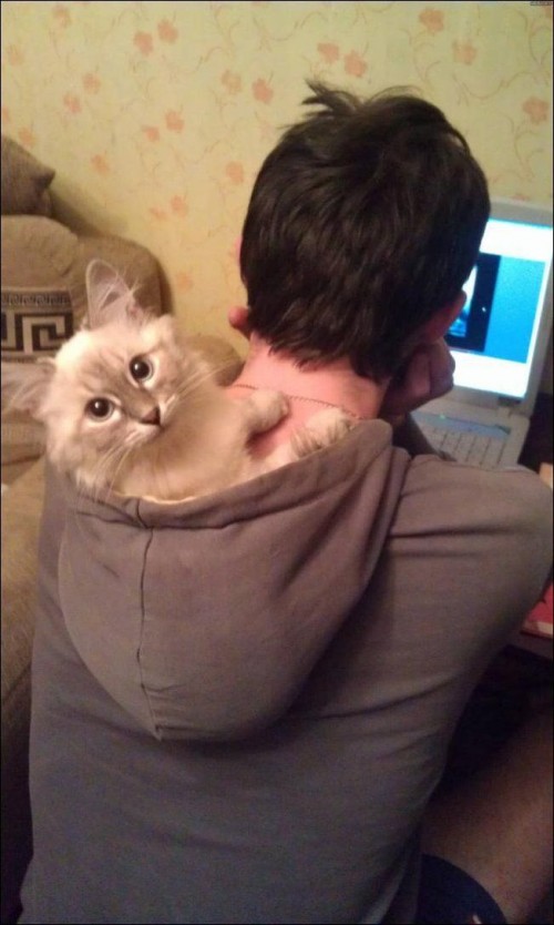 hornoxe.com_picdump252_082