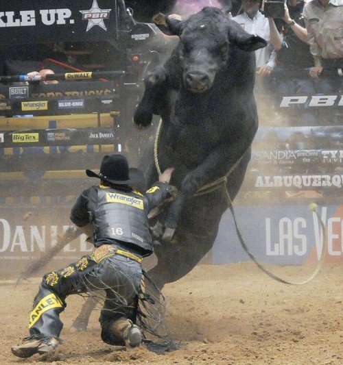 hornoxe.com_picdump252_093