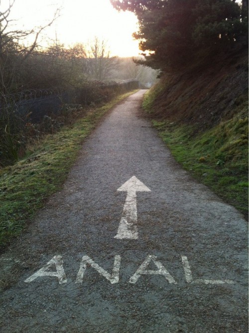 hornoxe.com_picdump252_100