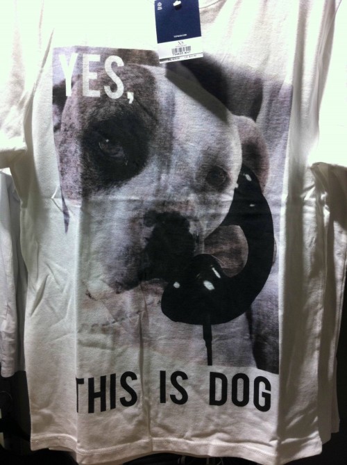 hornoxe.com_picdump252_124