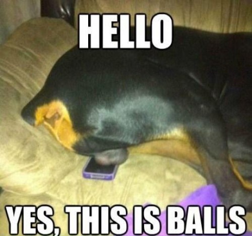 hornoxe.com_picdump252_145