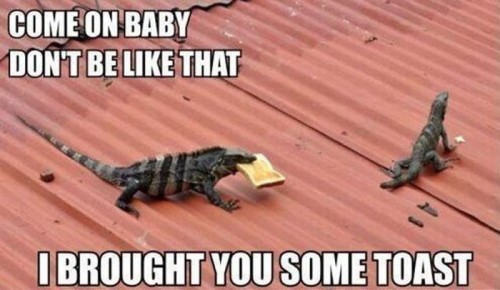 hornoxe.com_picdump252_149