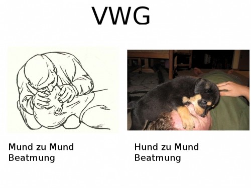 hornoxe.com_picdump252_151