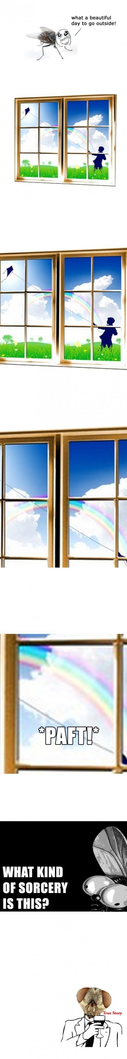 hornoxe.com_picdump252_163