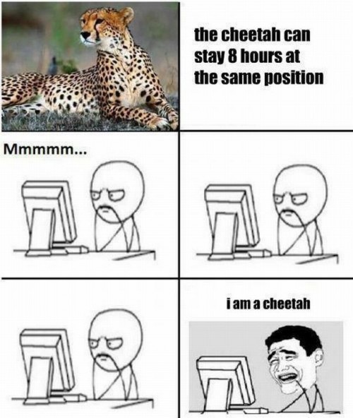 hornoxe.com_picdump252_172