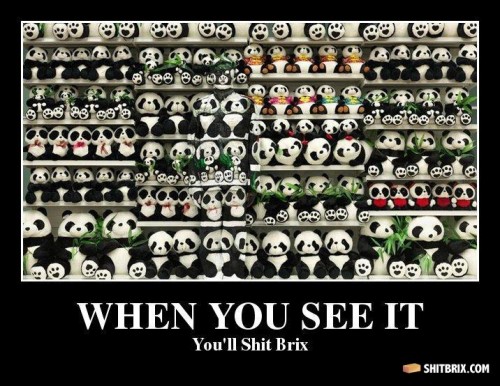 hornoxe.com_picdump253_018