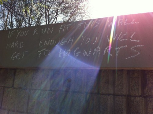 hornoxe.com_picdump253_060