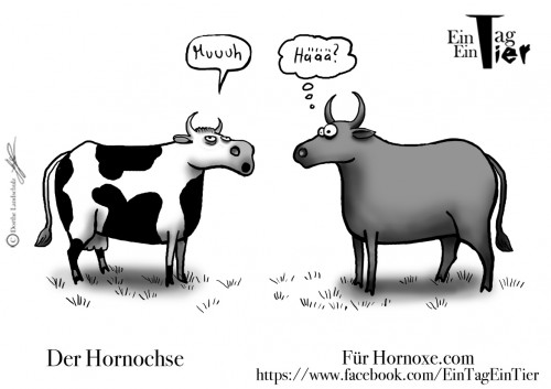 hornoxe.com_picdump253_127