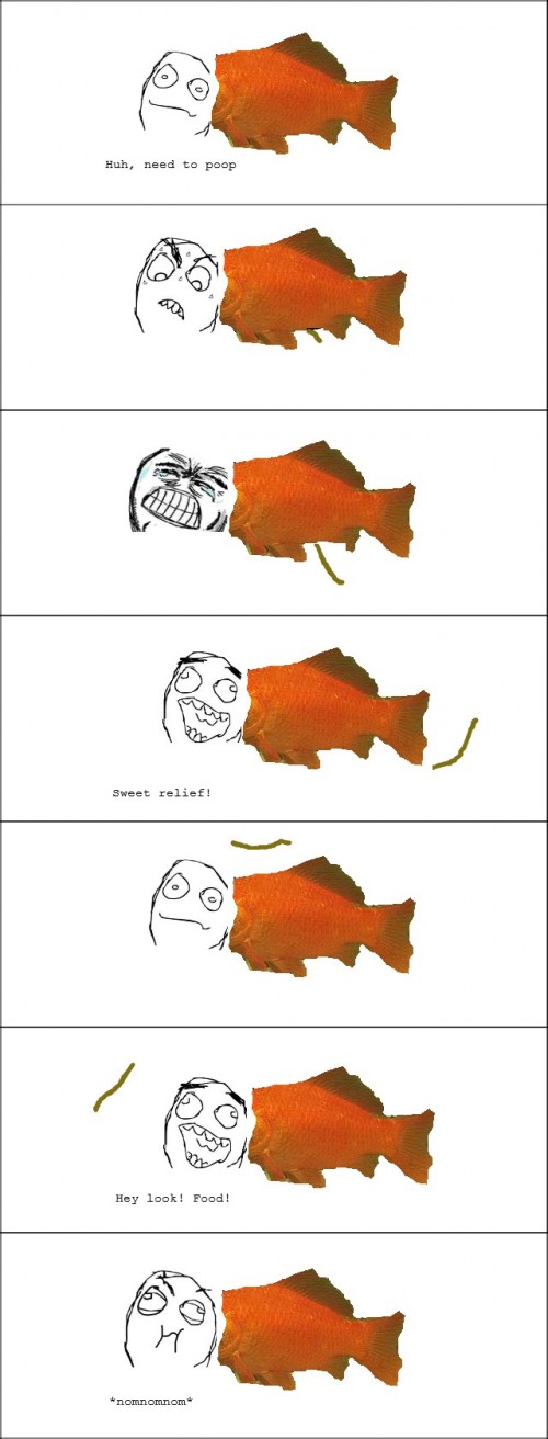 hornoxe.com_picdump253_173