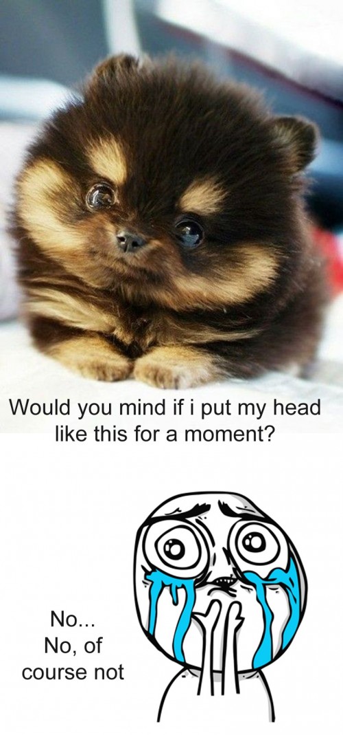 hornoxe.com_picdump254_040