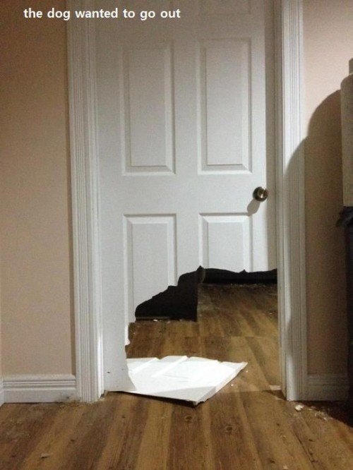 hornoxe.com_picdump254_050