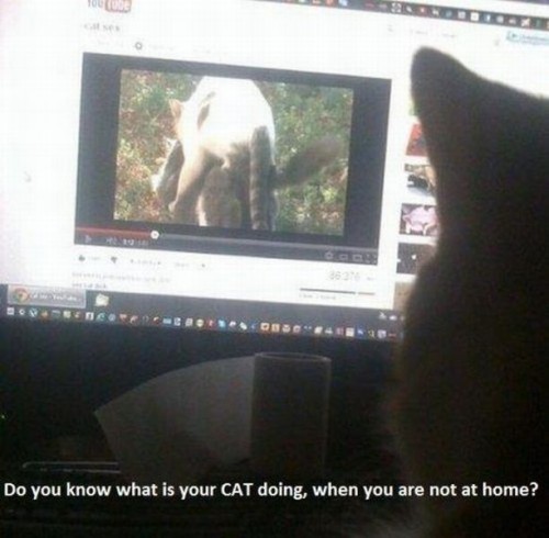 hornoxe.com_picdump254_064