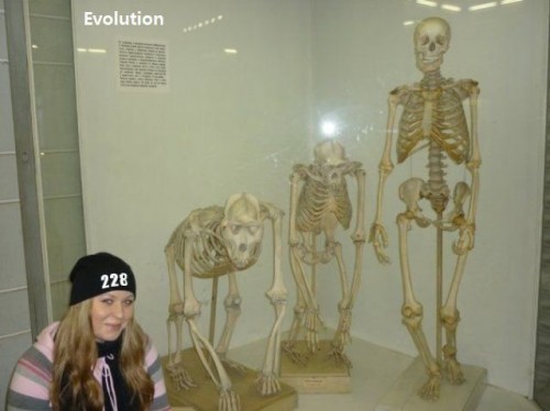 hornoxe.com_picdump254_098