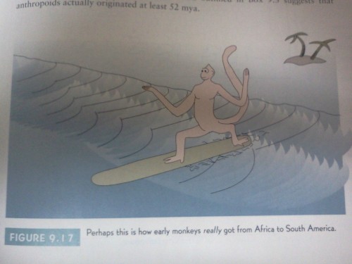 hornoxe.com_picdump254_110