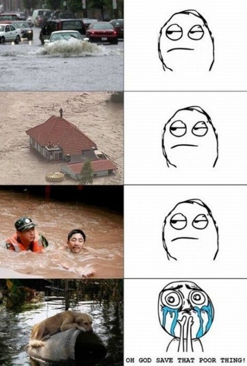 hornoxe.com_picdump254_133