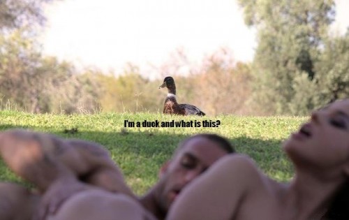 hornoxe.com_picdump255_010