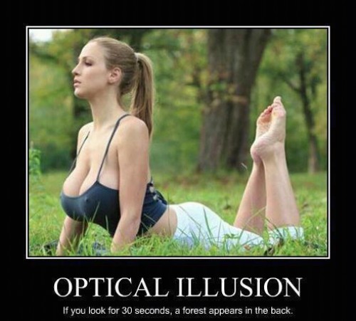 hornoxe.com_picdump255_013