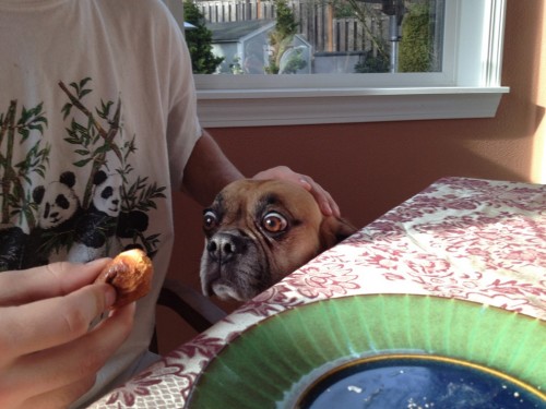 hornoxe.com_picdump255_089