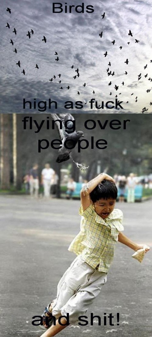 hornoxe.com_picdump255_101