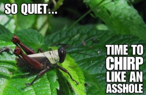 hornoxe.com_picdump255_102