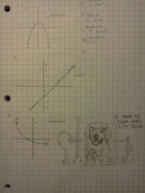 hornoxe.com_picdump255_110