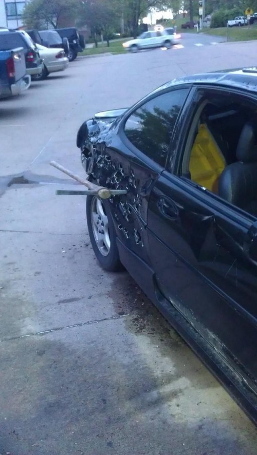 hornoxe.com_picdump255_111