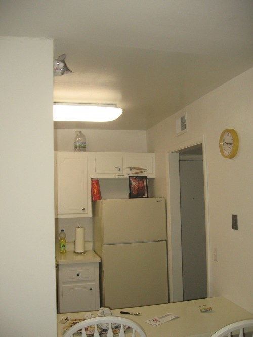 hornoxe.com_picdump255_124