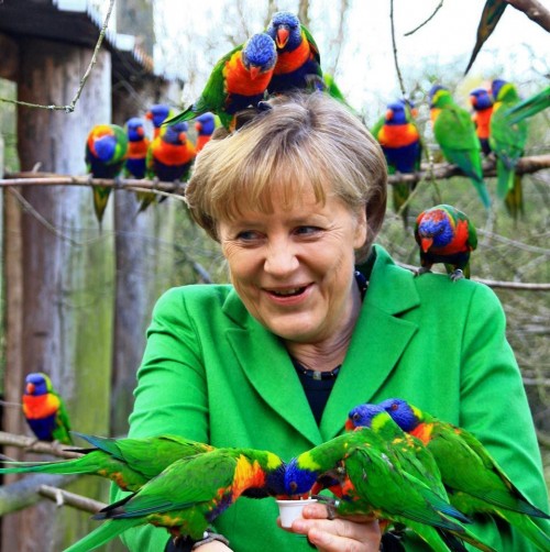 Lories sit on the head and arms of German chancellor Angela Merkel in a bird park in Marlow, northern Germany on April 17, 2012. Merkel attended the bird park during
a visit of her electoral district in northern Germany. AFP PHOTO / Franzi ZËger   GERMANY OUT (Photo credit should read Franzi ZËger/AFP/Getty Images)